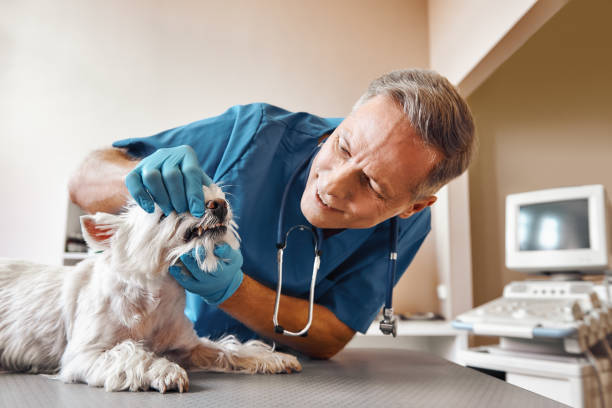 Best Emergency Tooth Extraction in Narberth, PA