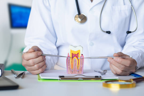 Best Emergency Dental Care for Trauma or Injury in Narberth, PA